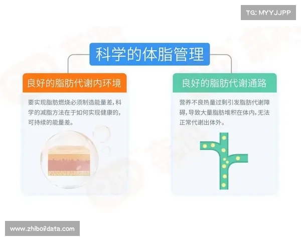 医学进步助力竞技提升 球员健康管理全面优化